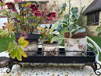 Image 3 of Pot de fleur rond