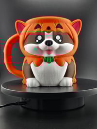 Image 1 of Kevin the Corgi Halloween costume. 