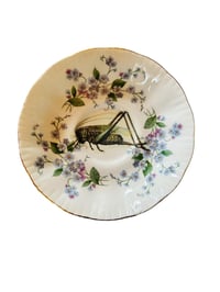 Grasshopper Floral Plate