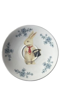 Rabbit with a Top Hat Plate