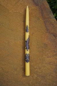 Bee/ Sphinx/ Datura Charmed Taper