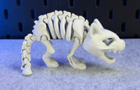 Image 1 of skeleton kitty