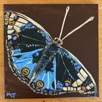 Image 1 of Butterfly Painting w/Lyrics
