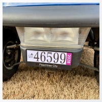Peachtree City Tag Mount