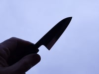 Image 3 of 83MM PARING KNIFE #341