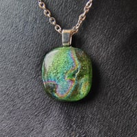 Image 1 of LichenShine