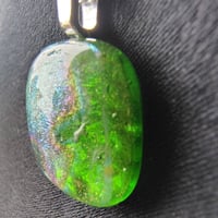 Image 3 of LichenShine