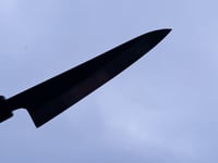 Image 3 of 155MM PETIT #346