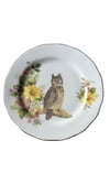 Owl Plate