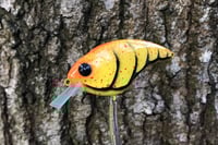 Image 1 of SPEEDBAITS Custom Airbrushed Sonic Crank 6113