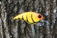 Image 5 of SPEEDBAITS Custom Airbrushed Sonic Crank 6113