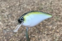 Image 6 of SPEEDBAITS Custom Airbrushed Lucky Squarebill 6143
