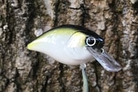 Image 2 of SPEEDBAITS Custom Airbrushed Lucky Squarebill 6143