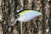 Image 1 of SPEEDBAITS Custom Airbrushed Lucky Squarebill 6143