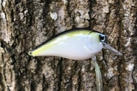 Image 3 of SPEEDBAITS Custom Airbrushed Lucky Squarebill 6143