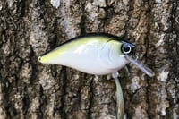 Image 5 of SPEEDBAITS Custom Airbrushed Lucky Squarebill 6143