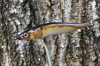 Image 1 of Custom Airbrushed Jerkbait TA 110 6278