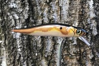 Image 4 of Custom Airbrushed Jerkbait TA 110 6278