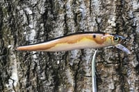 Image 5 of Custom Airbrushed Jerkbait TA 110 6278