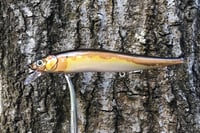 Image 2 of Custom Airbrushed Jerkbait TA 110 6278