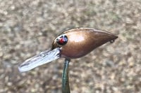 Image 5 of SPEEDBAITS Custom Airbrushed RAPALA WIGGLE WART CLONE 6314