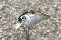 Image 6 of SPEEDBAITS Custom Airbrushed BFS Crankbait 6587