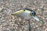 Image 5 of SPEEDBAITS Custom Airbrushed BFS Crankbait 6587