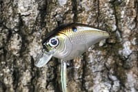 Image 1 of SPEEDBAITS Custom Airbrushed BFS Crankbait 6587