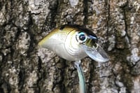 Image 2 of SPEEDBAITS Custom Airbrushed BFS Crankbait 6587