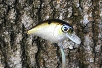 Image 3 of SPEEDBAITS Custom Airbrushed BFS Crankbait 6587