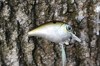 Image 4 of SPEEDBAITS Custom Airbrushed BFS Crankbait 6587