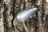 Image 7 of SPEEDBAITS Custom Airbrushed BFS Crankbait 6587