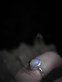 Image 4 of Small moonstone ring