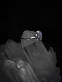 Image 2 of Small moonstone ring
