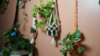 White Macramé Plant Holder