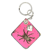 Image 1 of evil haunted spider key chain 