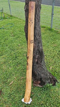 Image 1 of Serpent Didgeridoo (Timeless 🐍)