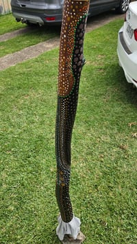 Image 1 of Crocodile Didgeridoo ( patients )