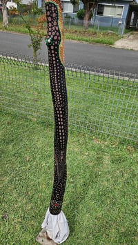 Image 2 of Crocodile Didgeridoo ( patients )