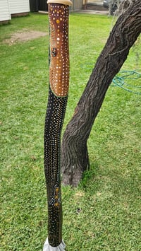 Image 3 of Crocodile Didgeridoo ( patients )