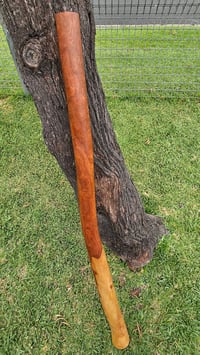Image 1 of Wood Grain Didgeridoo