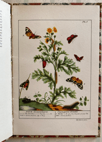 Image 6 of Some British Moths vintage King Penguin book 