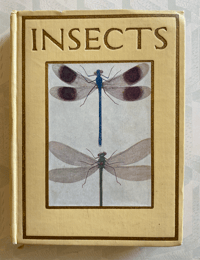 Image 1 of Insects Shown to the children
