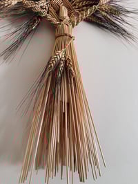 Image 3 of Earth Mother (black bearded wheat)