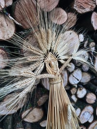 Image 2 of Earth Mother (blonde bearded wheat)
