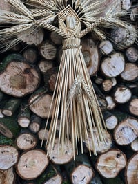 Image 3 of Earth Mother (blonde bearded wheat)