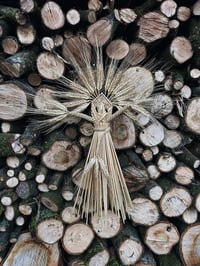 Image 1 of Earth Mother (blonde bearded wheat)