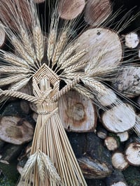 Image 4 of Earth Mother (blonde bearded wheat)