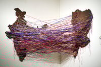 Image 2 of THE HOMEGROWN CITY - Matias ECHANOVE / Rahul SRIVASTAVA