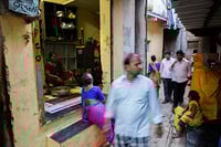 Image 5 of THE HOMEGROWN CITY - Matias ECHANOVE / Rahul SRIVASTAVA